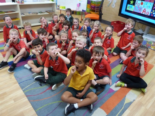 Message from the Principal – Issue 14